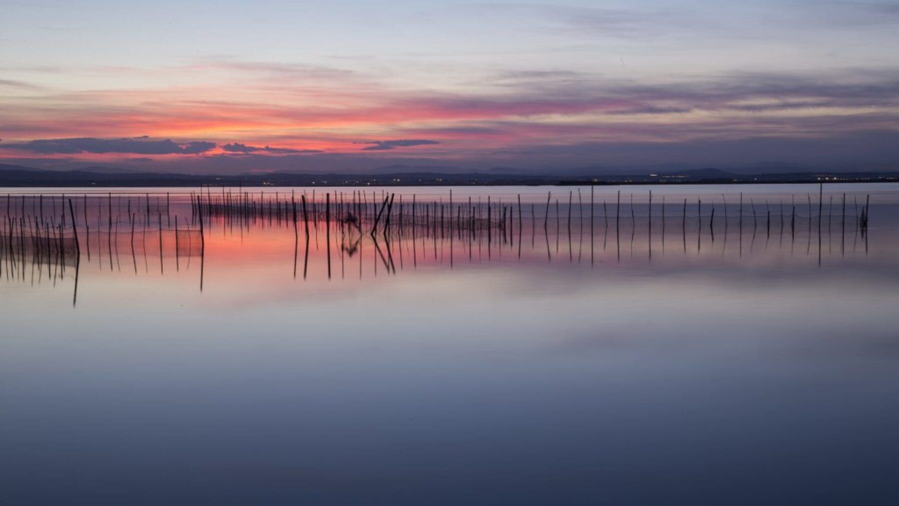 recuperación de L'Albufera tras la DANA