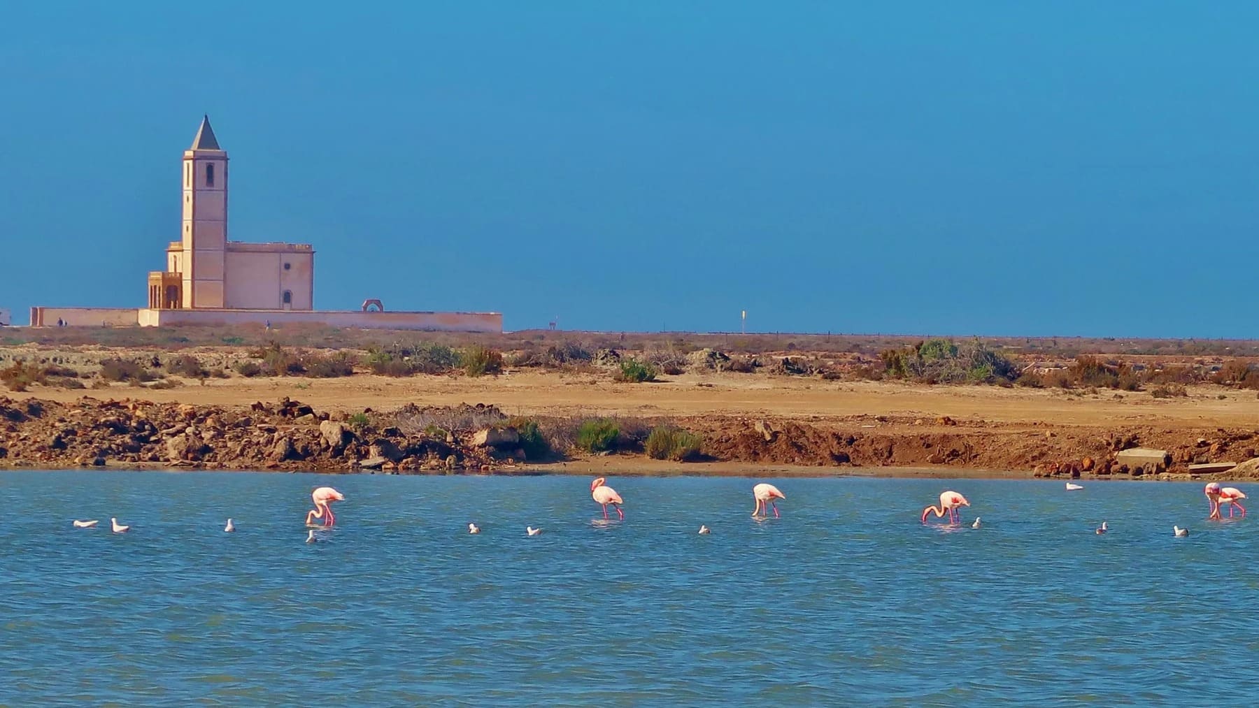 Salinas de Cabo de Gata completamente secas sin presencia de agua ni aves