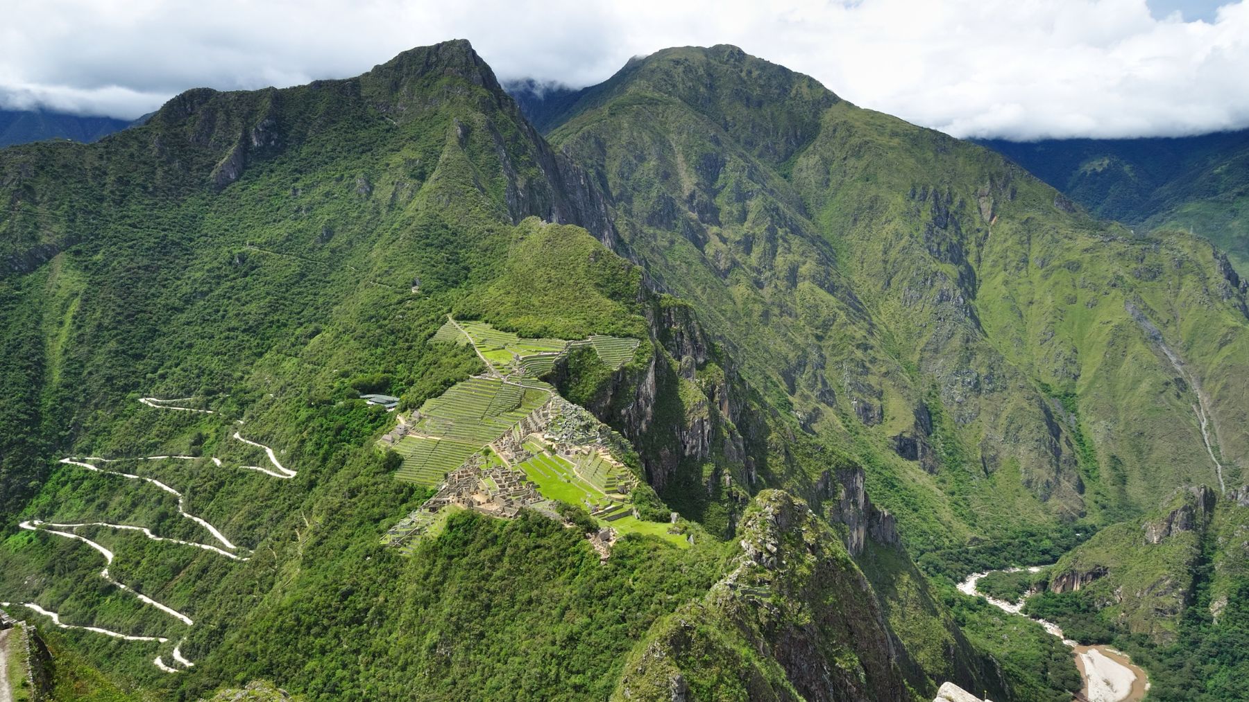 Vista aérea de Machu Picchu rodeado de vegetación en el plan de reforestación con árboles nativos en Perú.