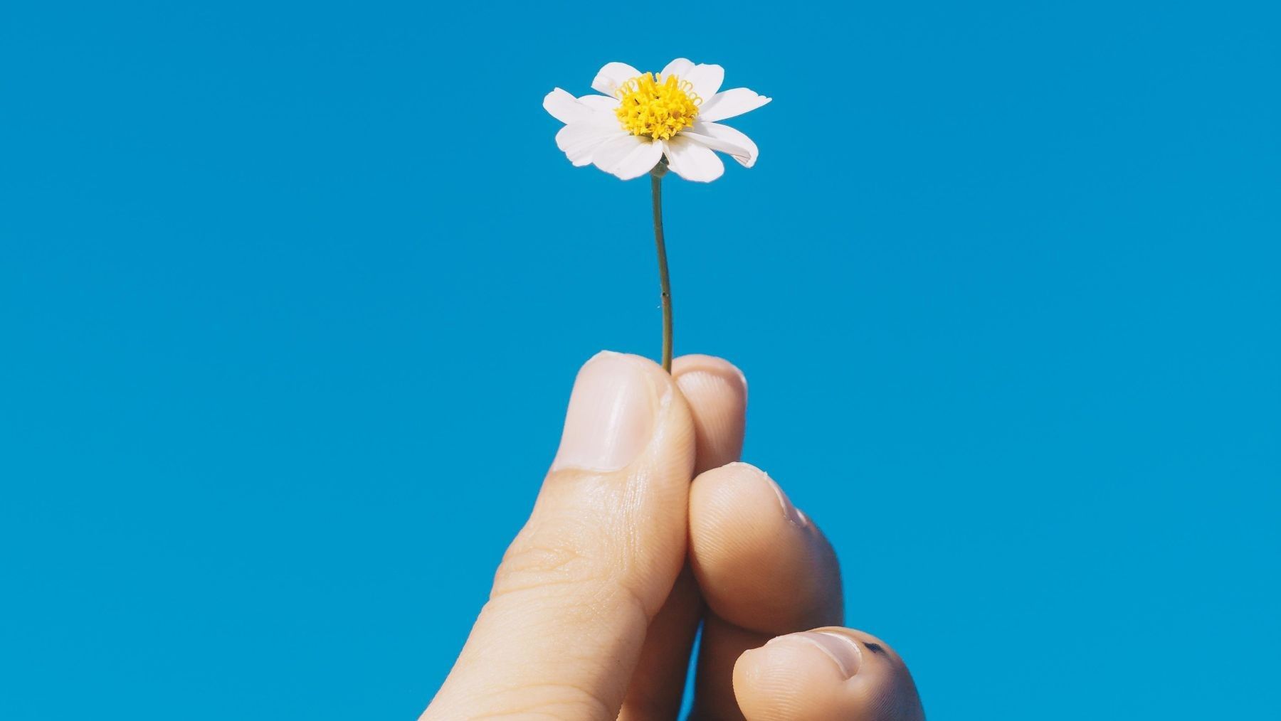 manifiesto por la restauración de la naturaleza en España movilización ambiental ciudadana