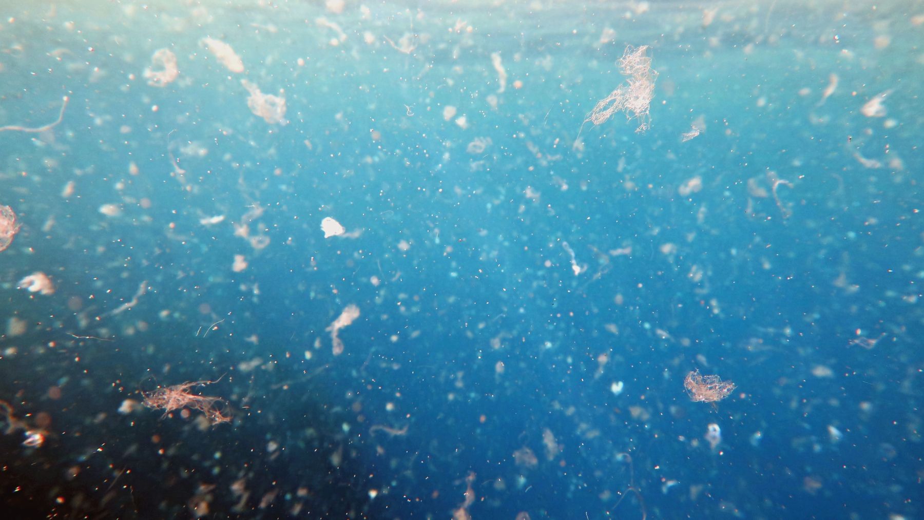 Microplásticos flotando en el agua, contaminación detectada en playas de la Antártida.