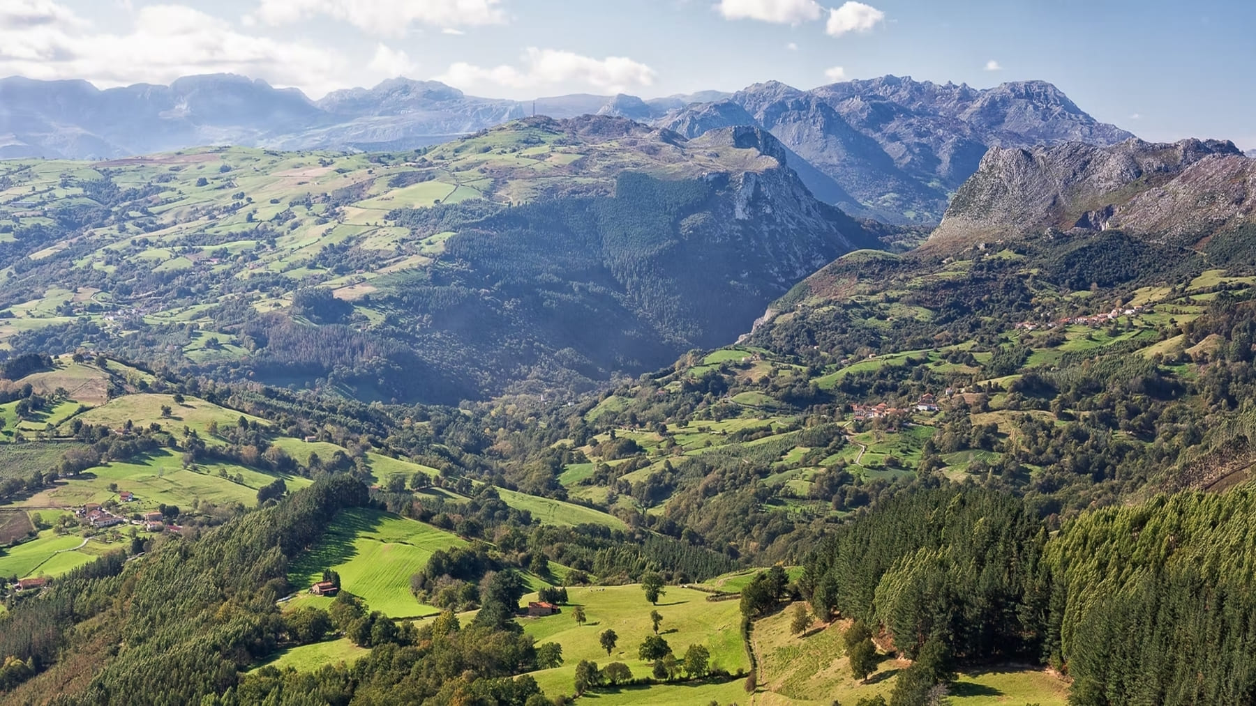 Nueva norma foral de montes en Bizkaia con paisaje forestal mixto y plantaciones de eucalipto