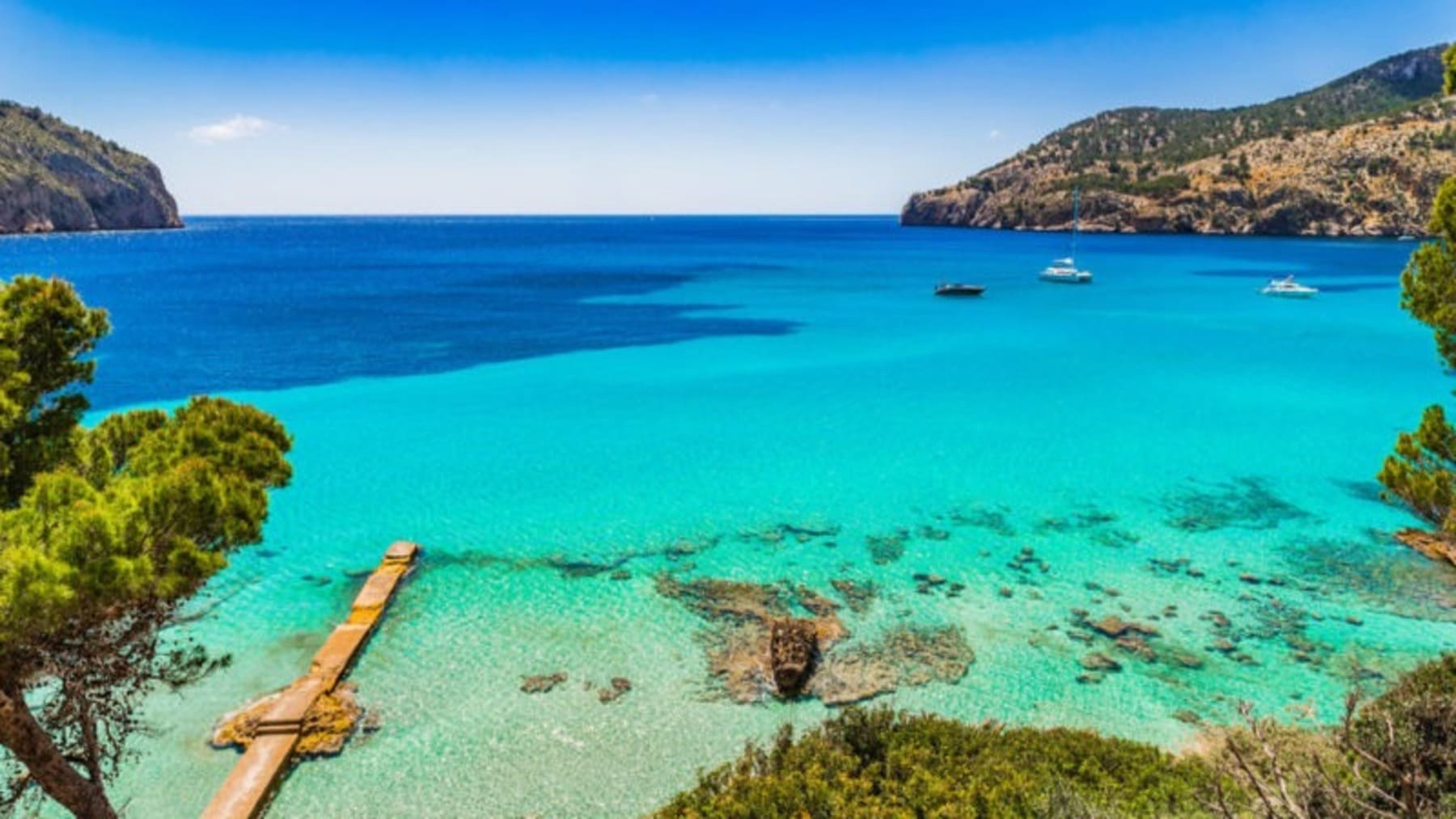 Olas de calor en el Mediterráneo occidental afectan a más del 60% del ecosistema marino