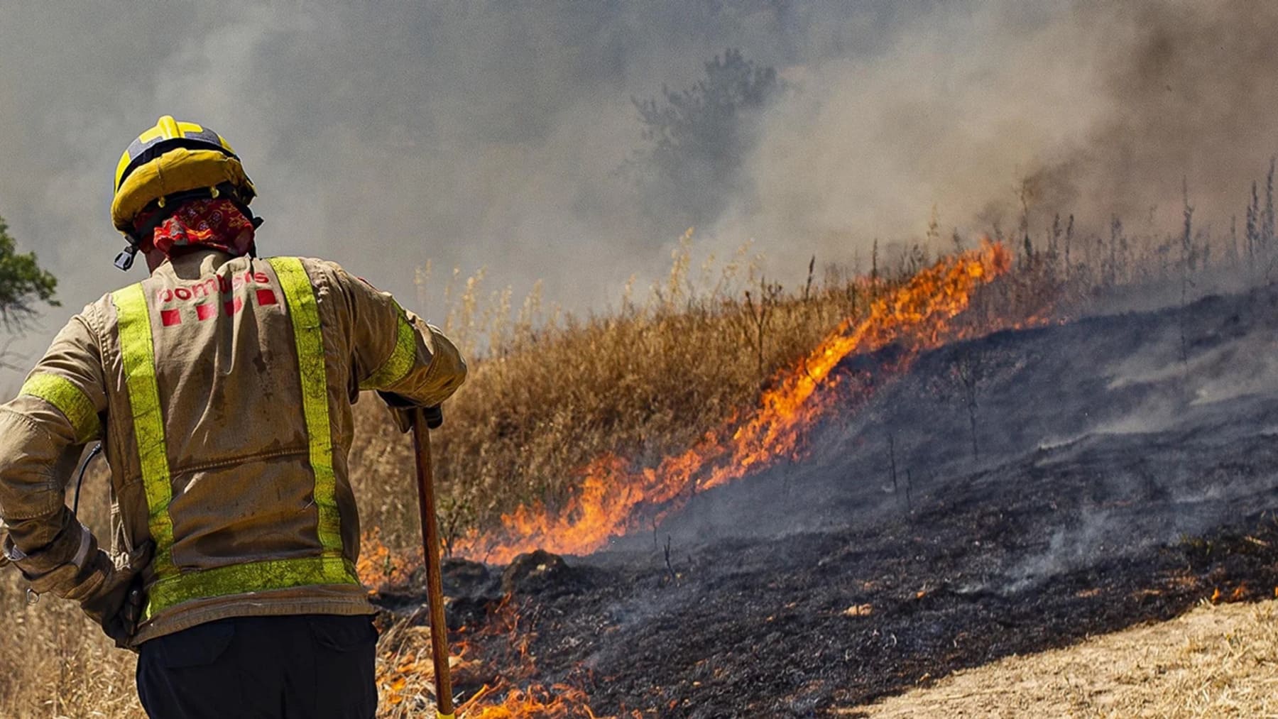 ozono de incendios forestales