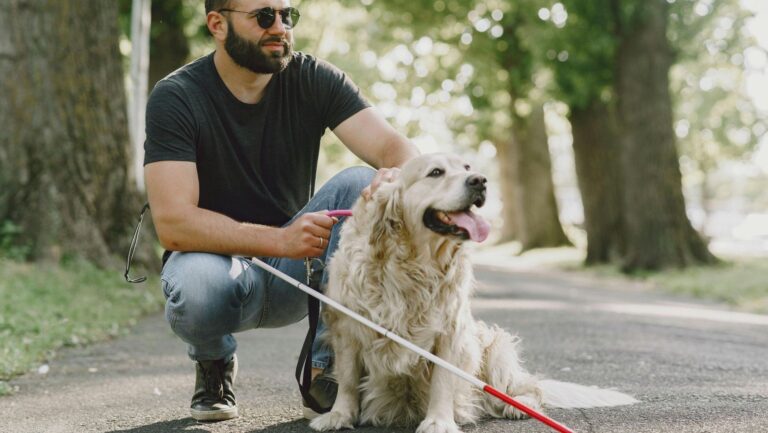 Día Internacional del Perro Guía 2026