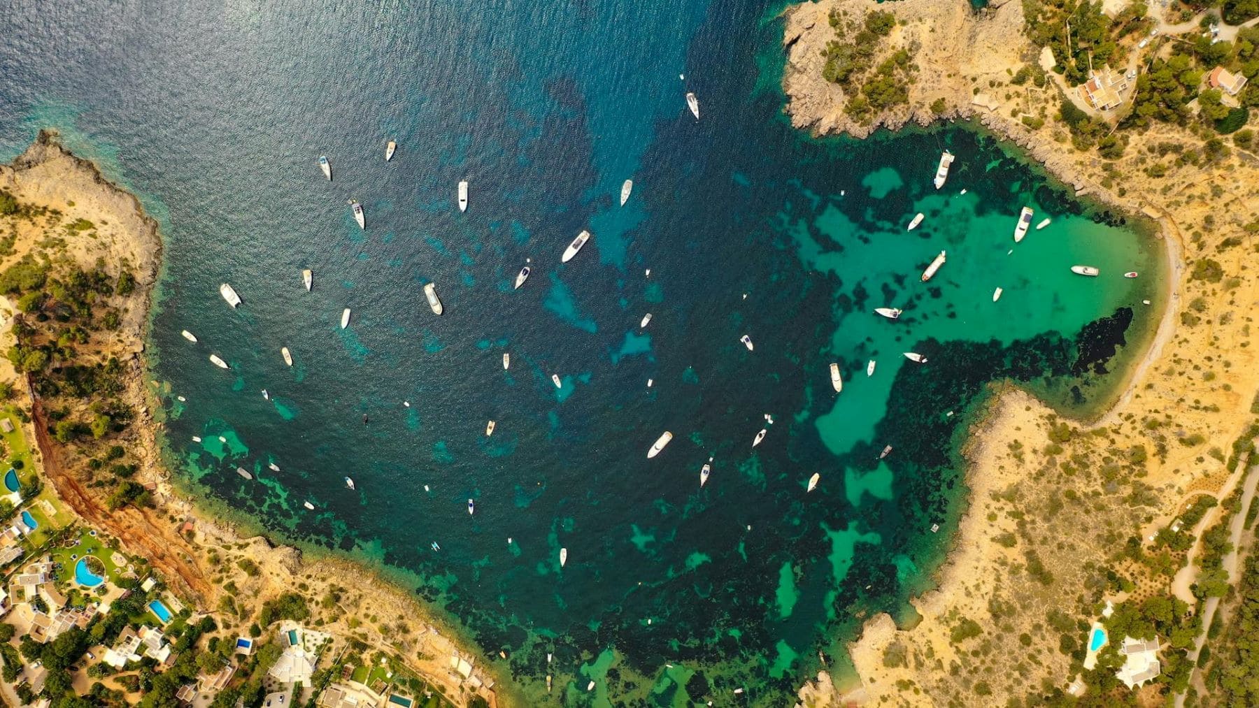 SOS Costa Brava alerta del colapso de la posidonia por la presión de embarcaciones