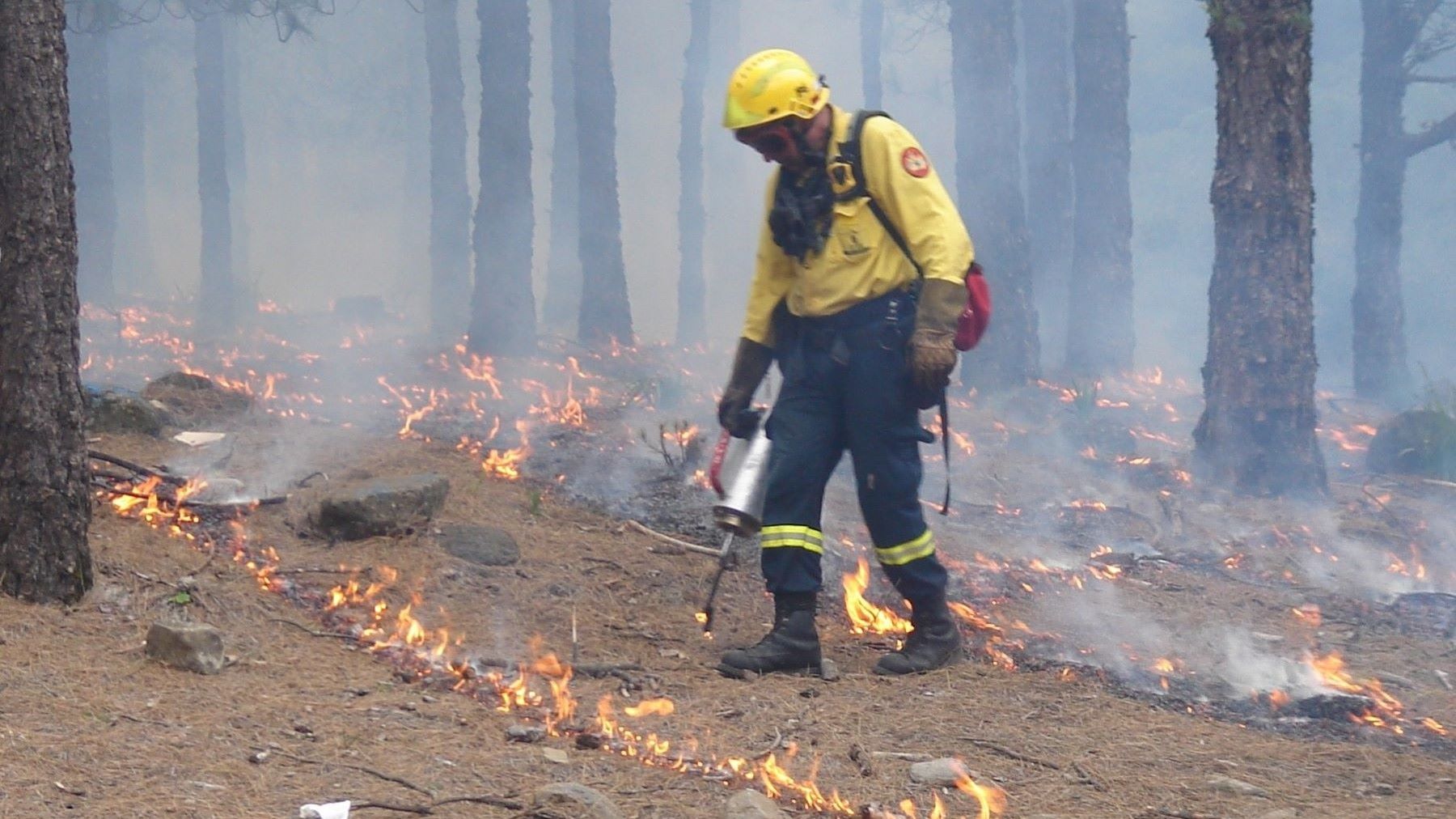Los bomberos forestales intensifican la prevención de incendios ante un verano de alto riesgo en España