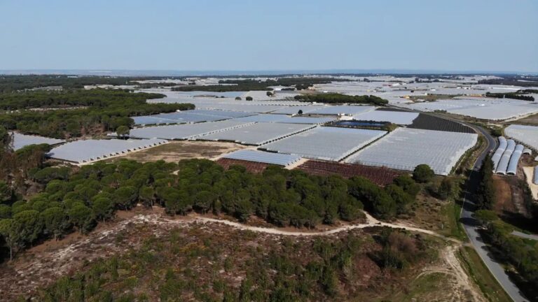 Los agricultores de Doñana son clave para la gestión sostenible del agua