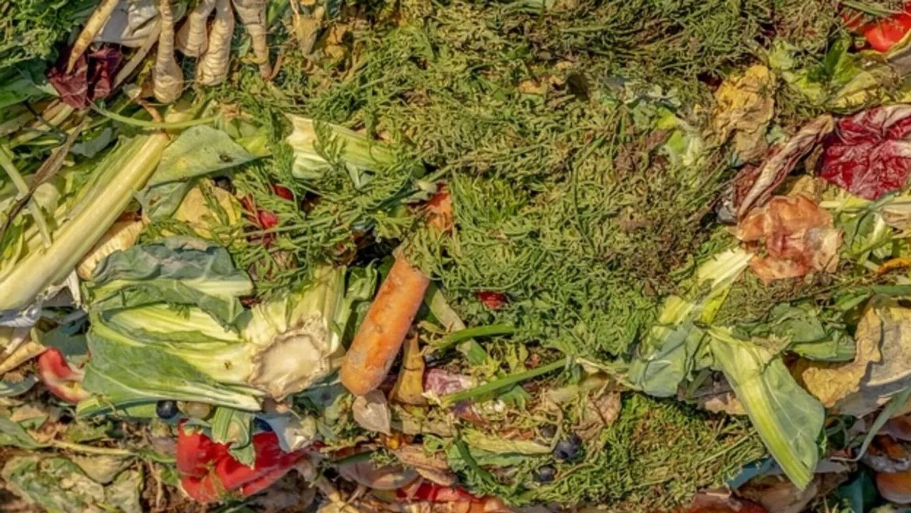 Residuos hortofrutícolas se transforman en productos sostenibles con innovación en economía circular en Valencia