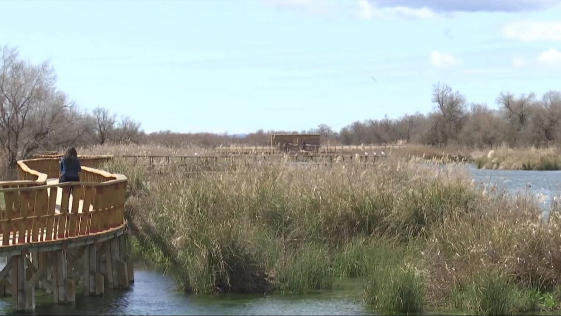 restauración de humedales en Doñana para recuperar la biodiversidad
