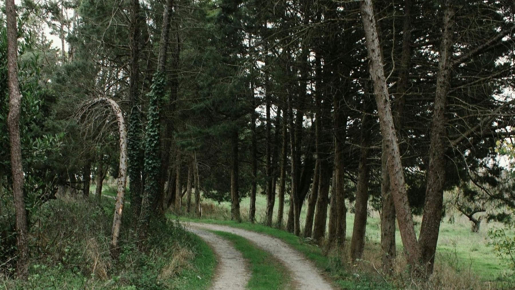 Rutas guiadas gratis en Navarra 2026 para descubrir biodiversidad con el Guarderío de Medio Ambiente en Navarra