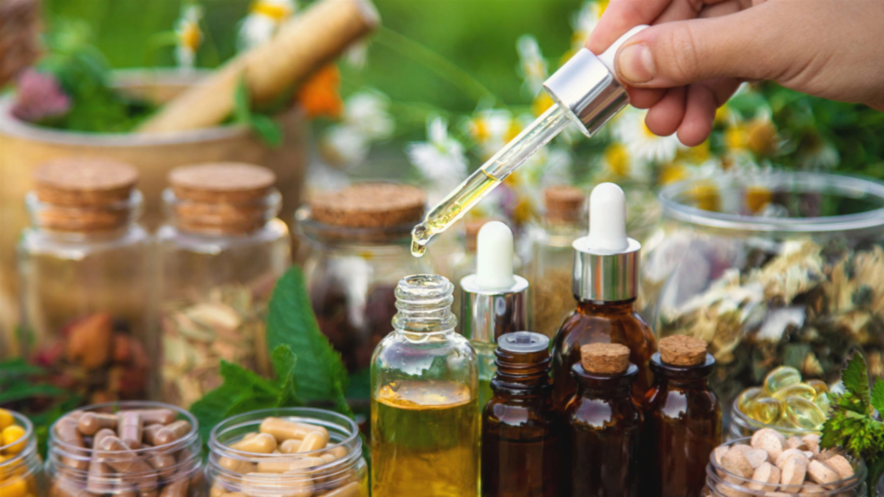 Día internacional de la homeopatía 2026 con retrato de Samuel Hahnemann fundador