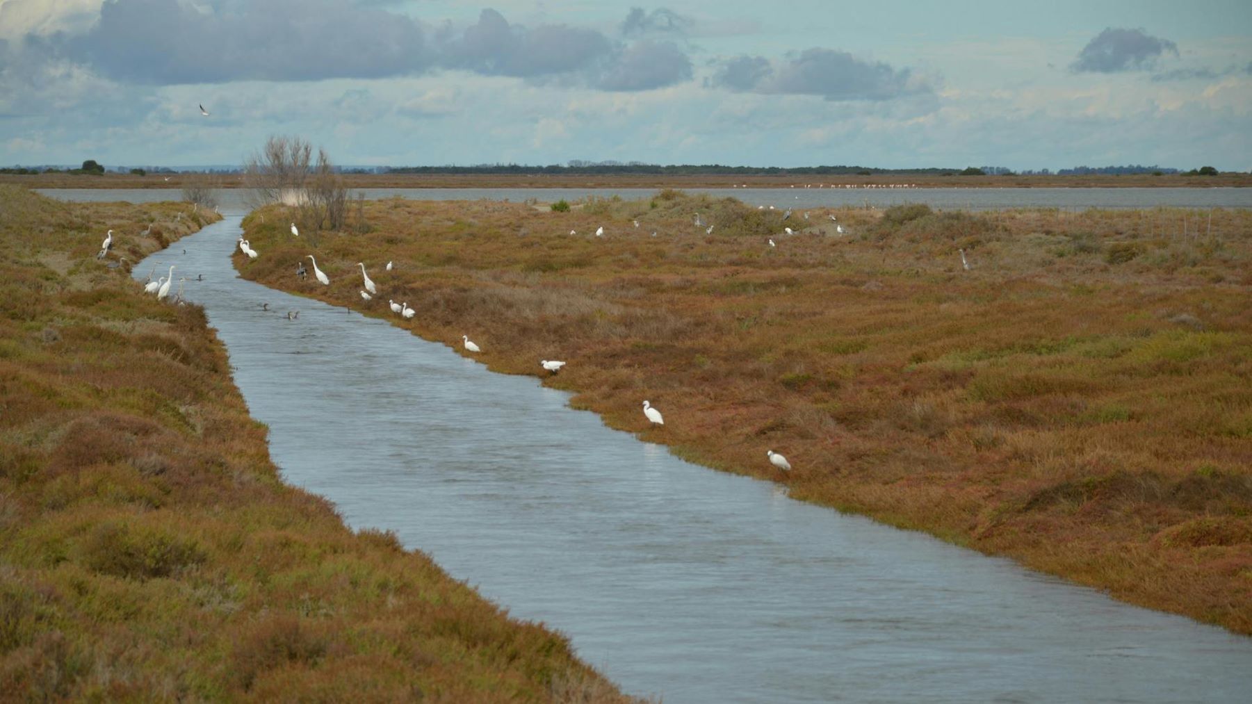 subvenciones para la restauración ecológica en Doñana