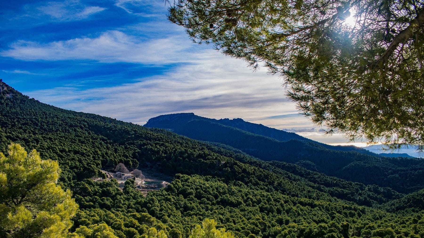 medir altura de árboles y edificios con lidar