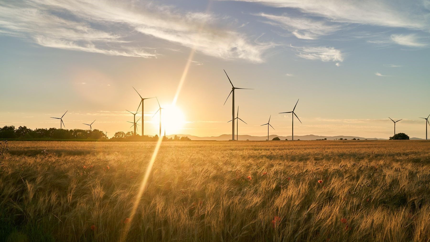 la ONU advierte que la transición a energías limpias marcará el futuro de la economía global