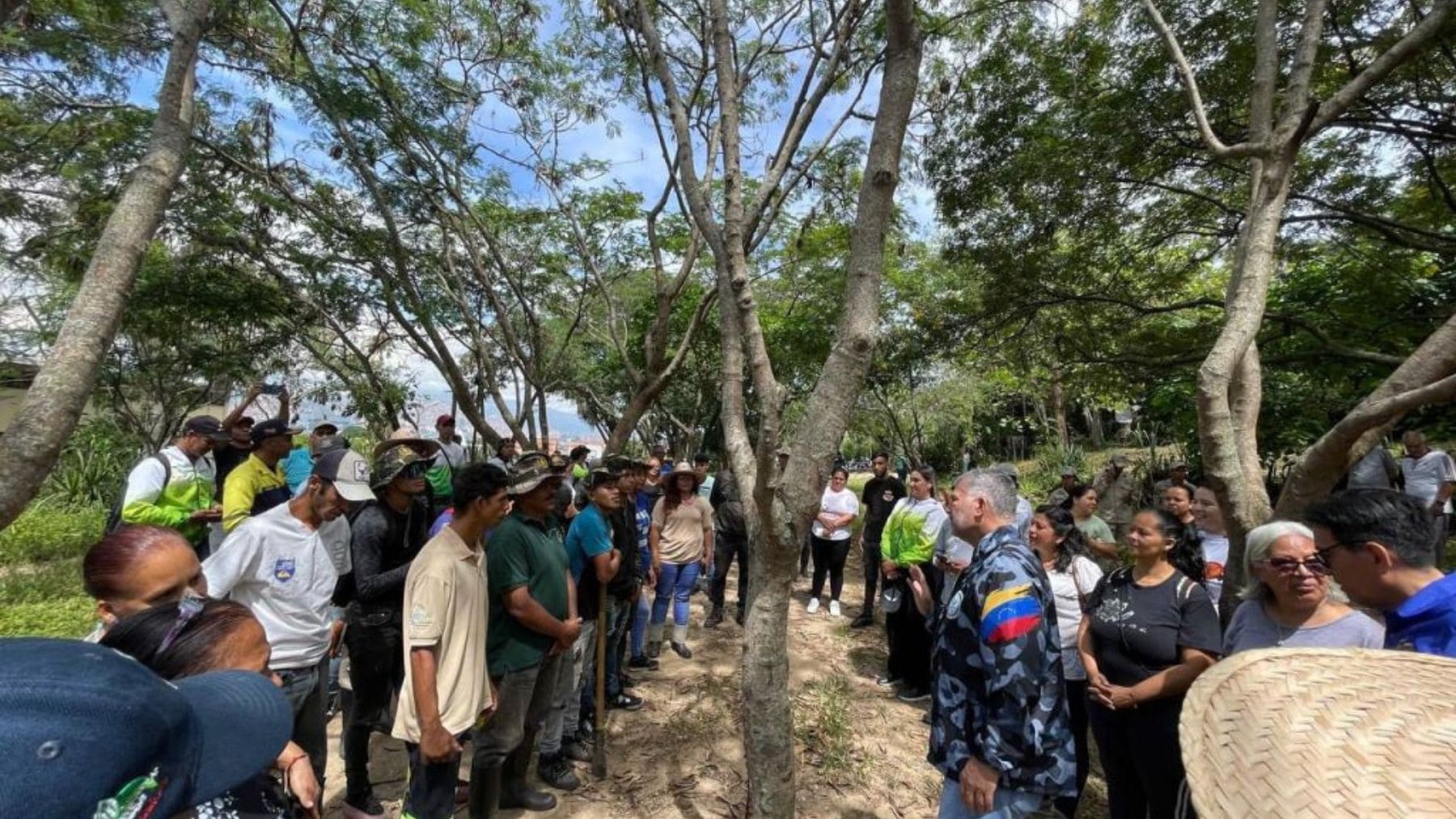 Jornada de reforestación en Venezuela con trabajadores plantando árboles dentro del plan para sembrar 11 millones antes de 2026.