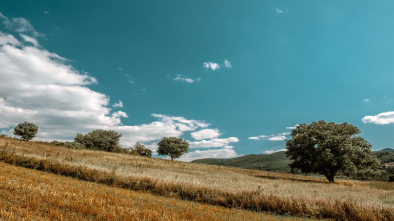 ozono contaminación aire Castilla y León salud pública