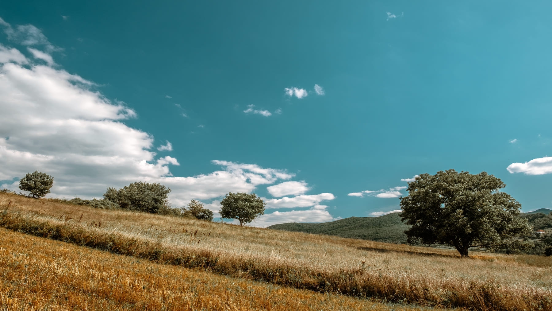 ozono contaminación aire Castilla y León salud pública