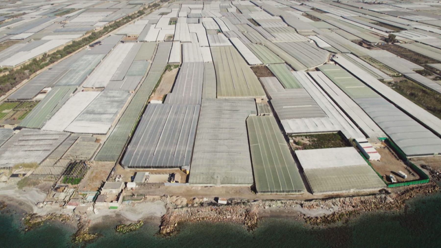 Almería lidera con 82.700 hectáreas de agricultura ecológica la producción en Andalucía