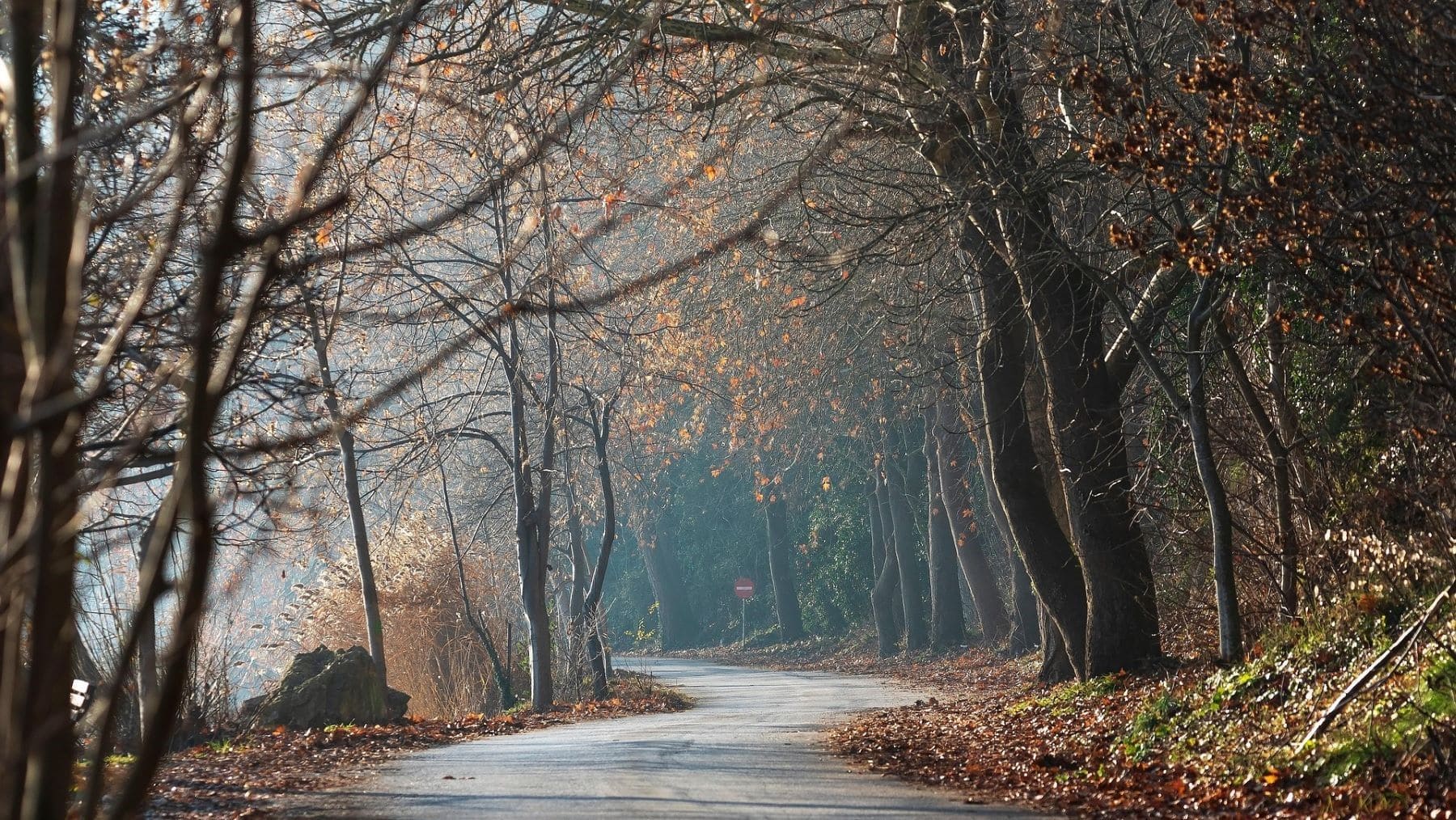 La Diputación de Alicante invierte para prevenir incendios forestales