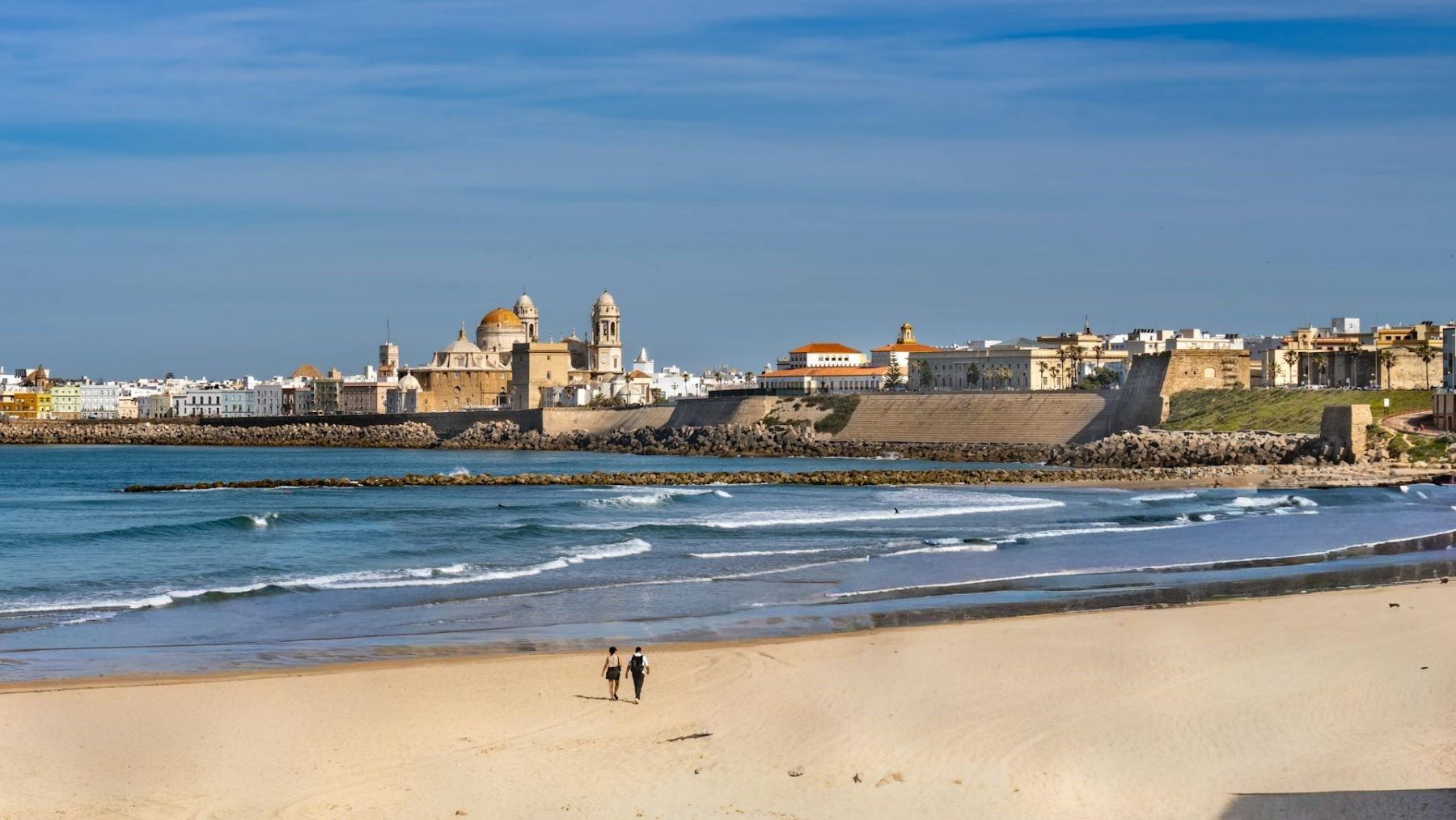 Alga invasora en Cádiz acumulada en el litoral gaditano