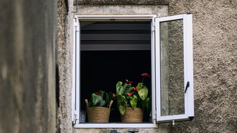 jardinería urbana en Europa