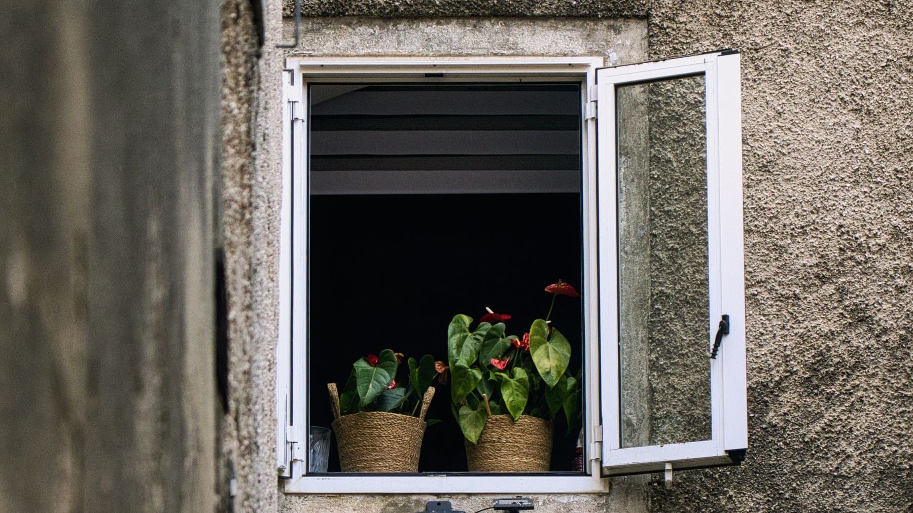 jardinería urbana en Europa