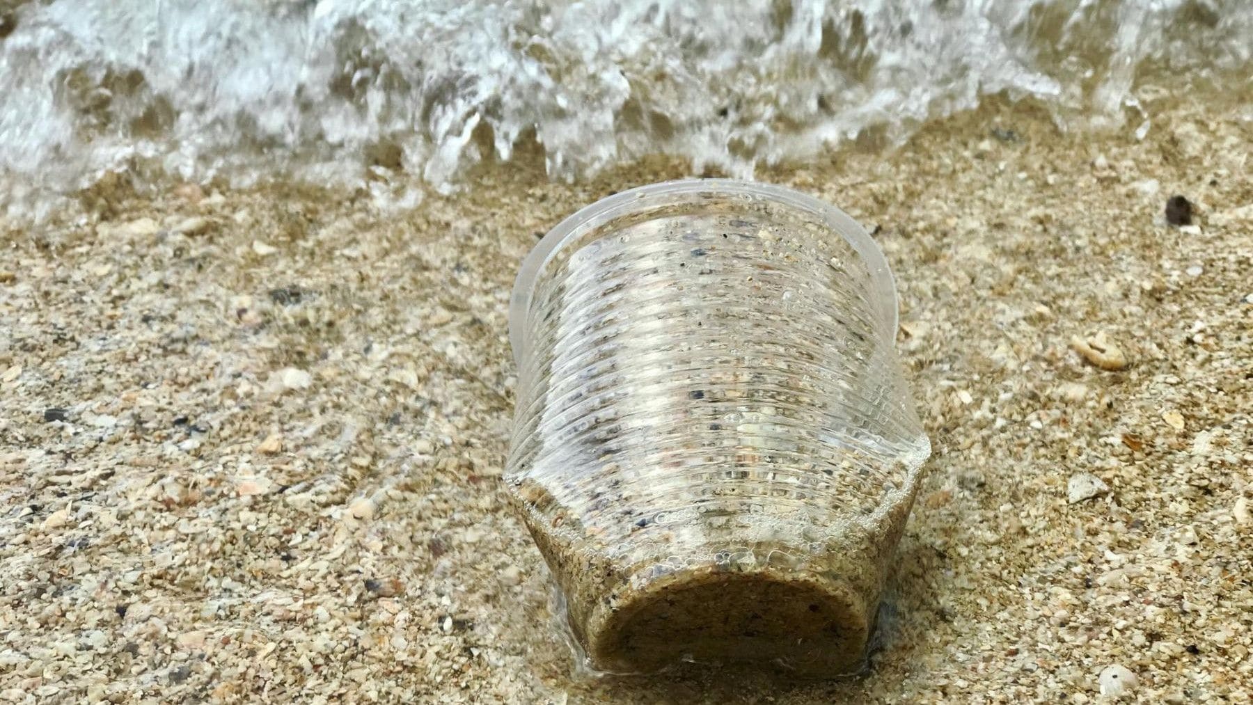 Residuos plásticos lideran la contaminación marina mundial
