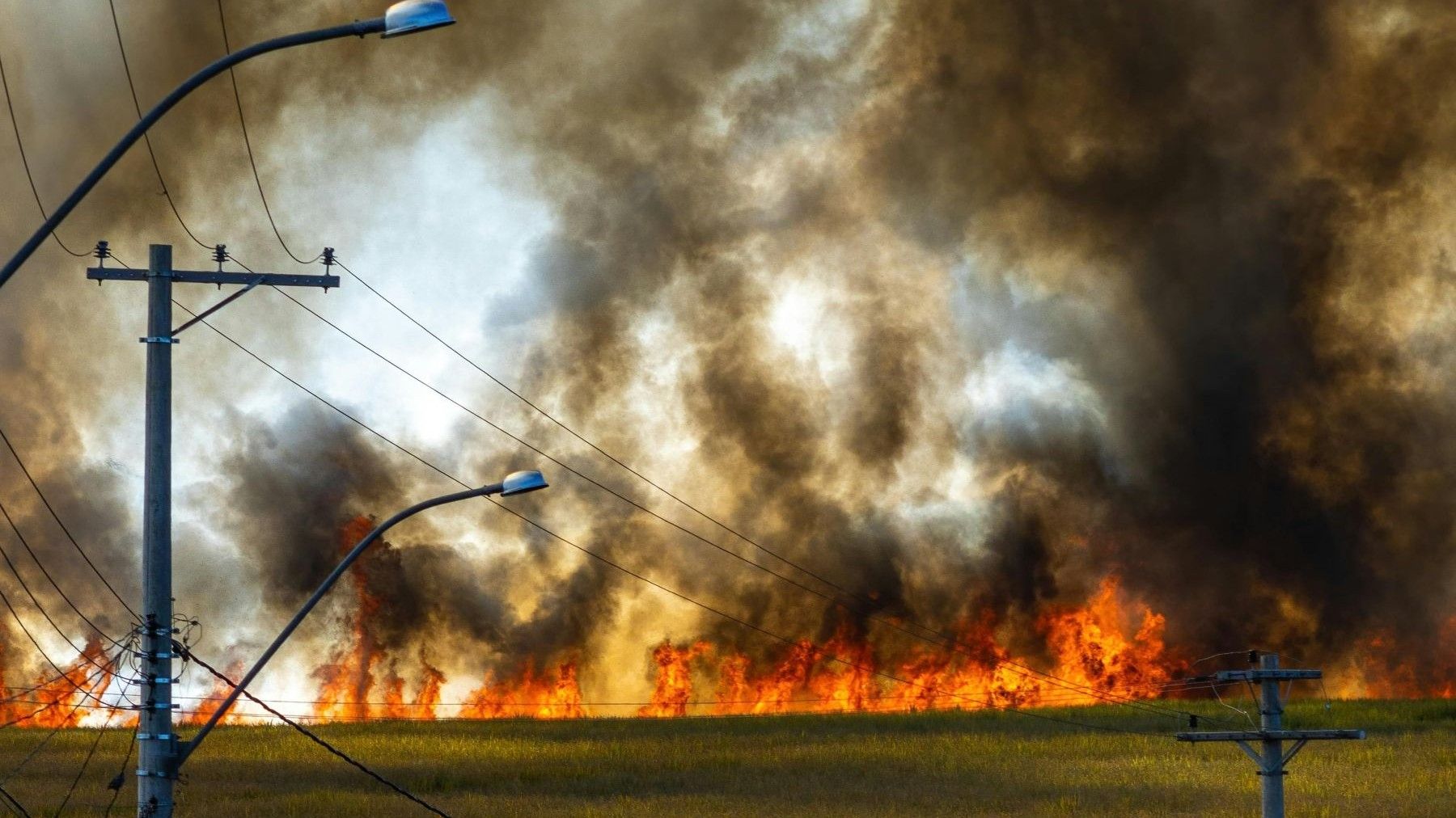 Incendios en la Patagonia destruyendo bosques nativos y áreas protegidas