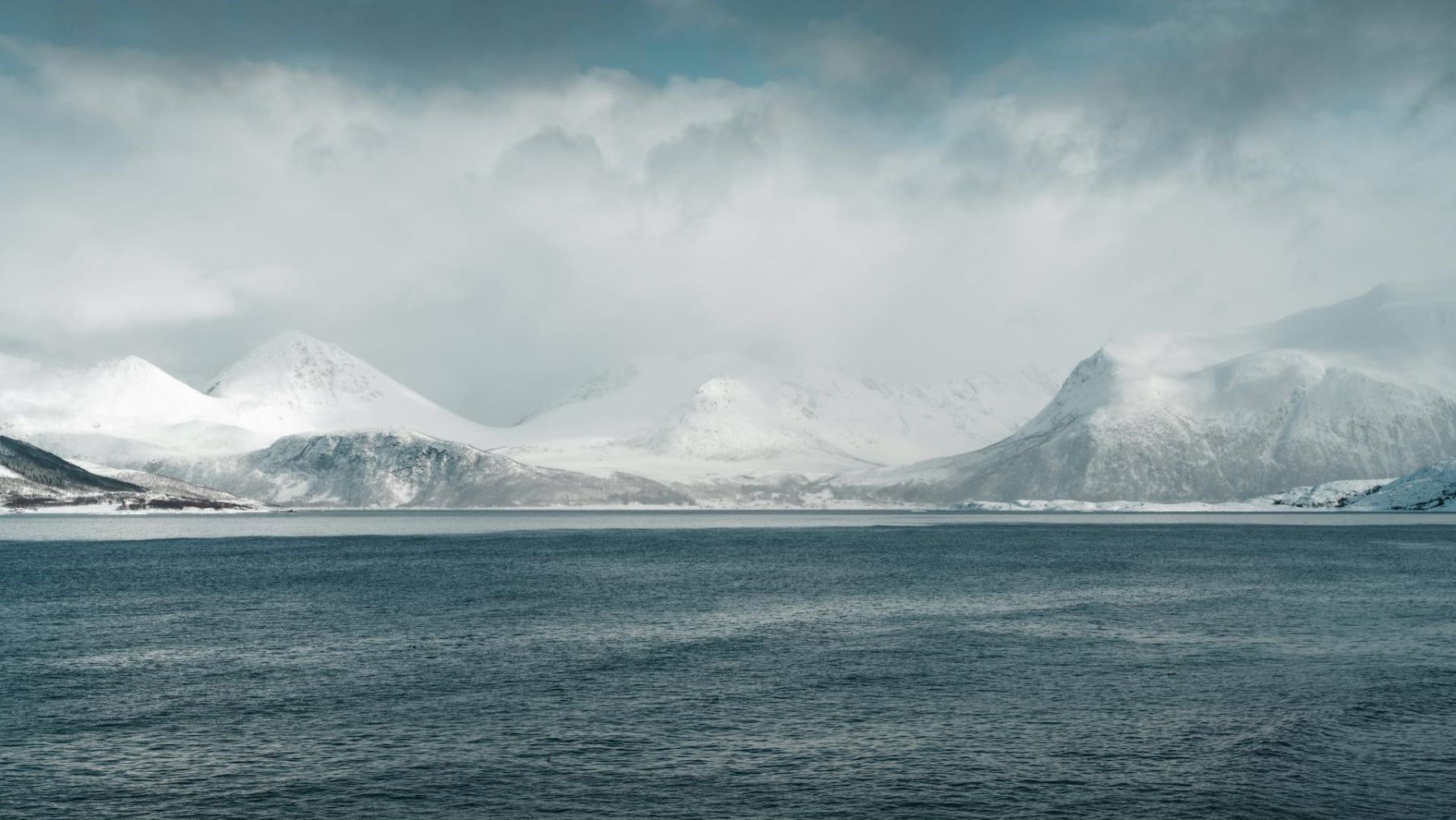 Expedición Deep Arctic para proteger las profundidades del Ártico