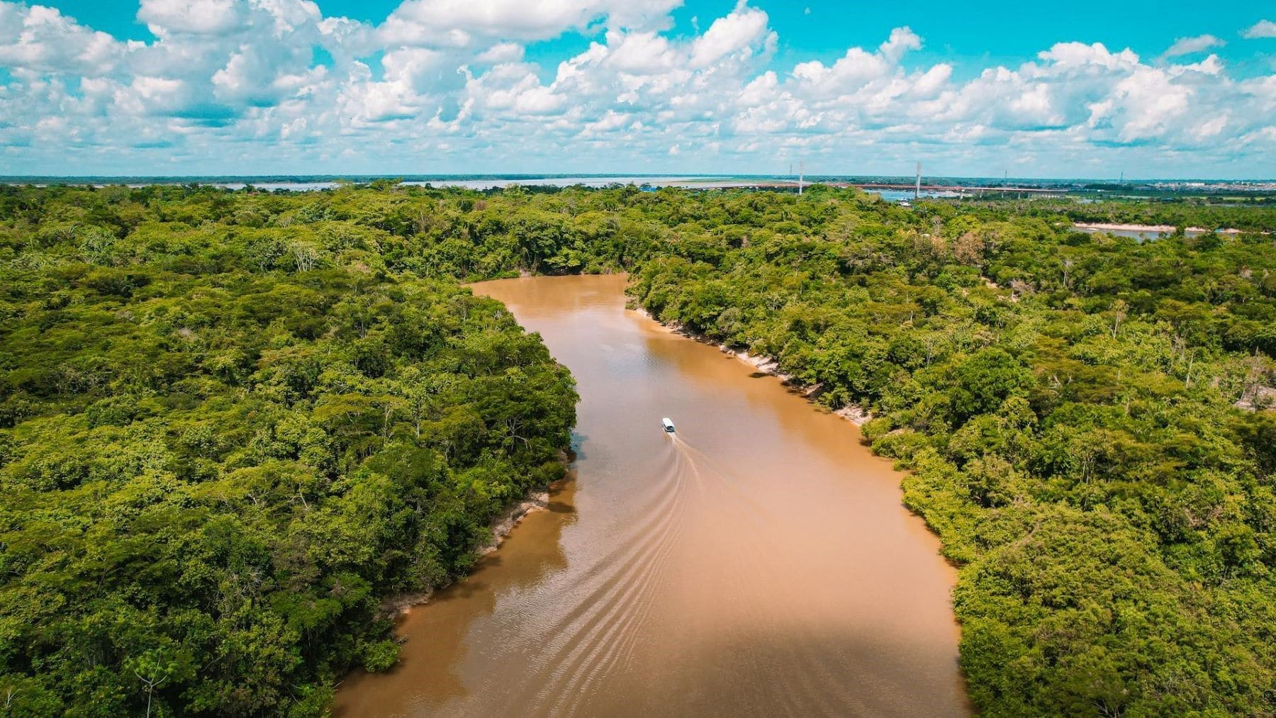 Proyecto donde la Amazonía peruana usará alertas contra la deforestación