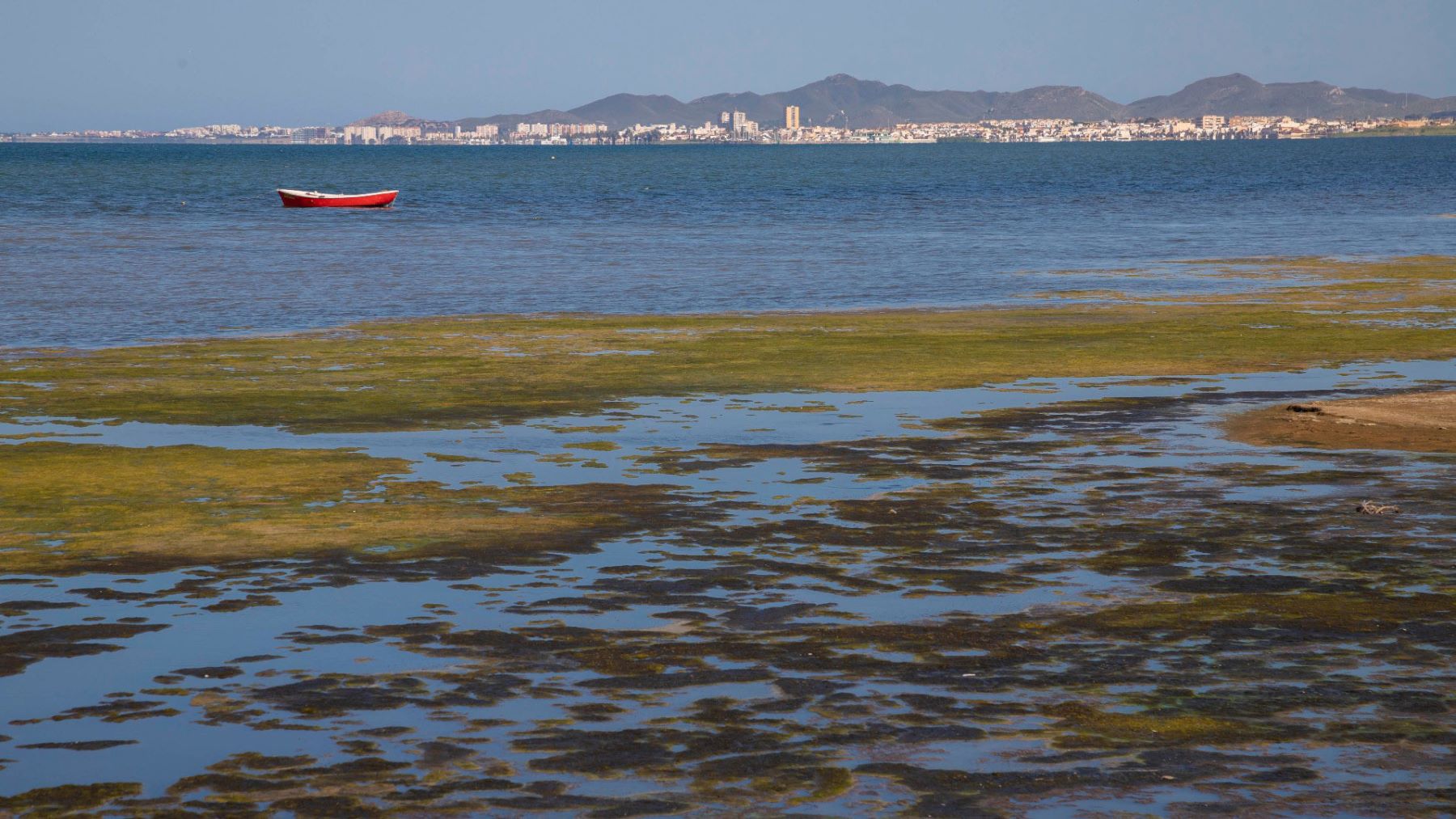 contaminación por nitratos en el Mar Menor provocada por agricultura intensiva