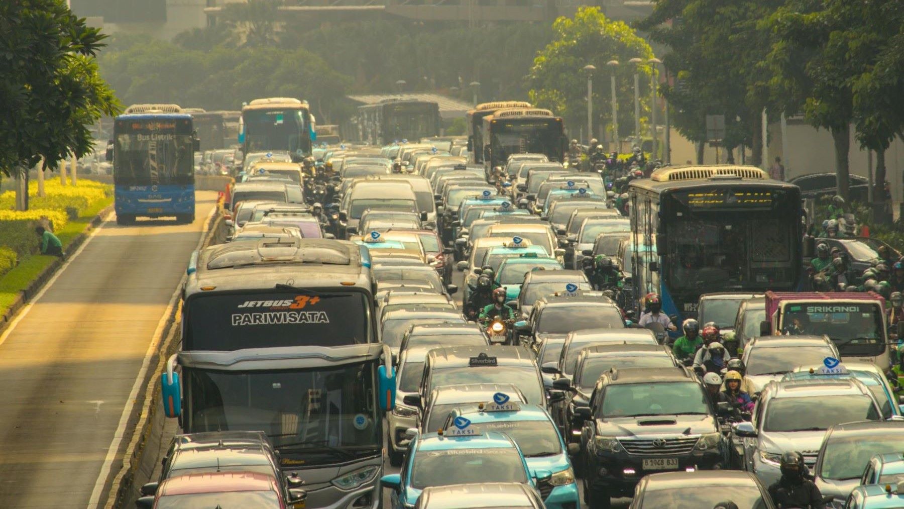 Contaminación: un factor que aumenta la grasa corporal