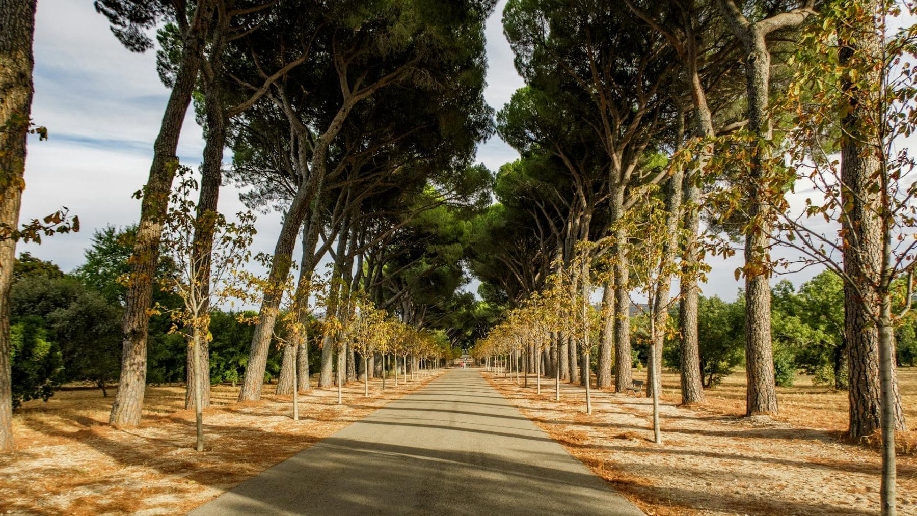 Corredor Ecológico del Suroeste con espacios naturales y hábitats protegidos en Madrid