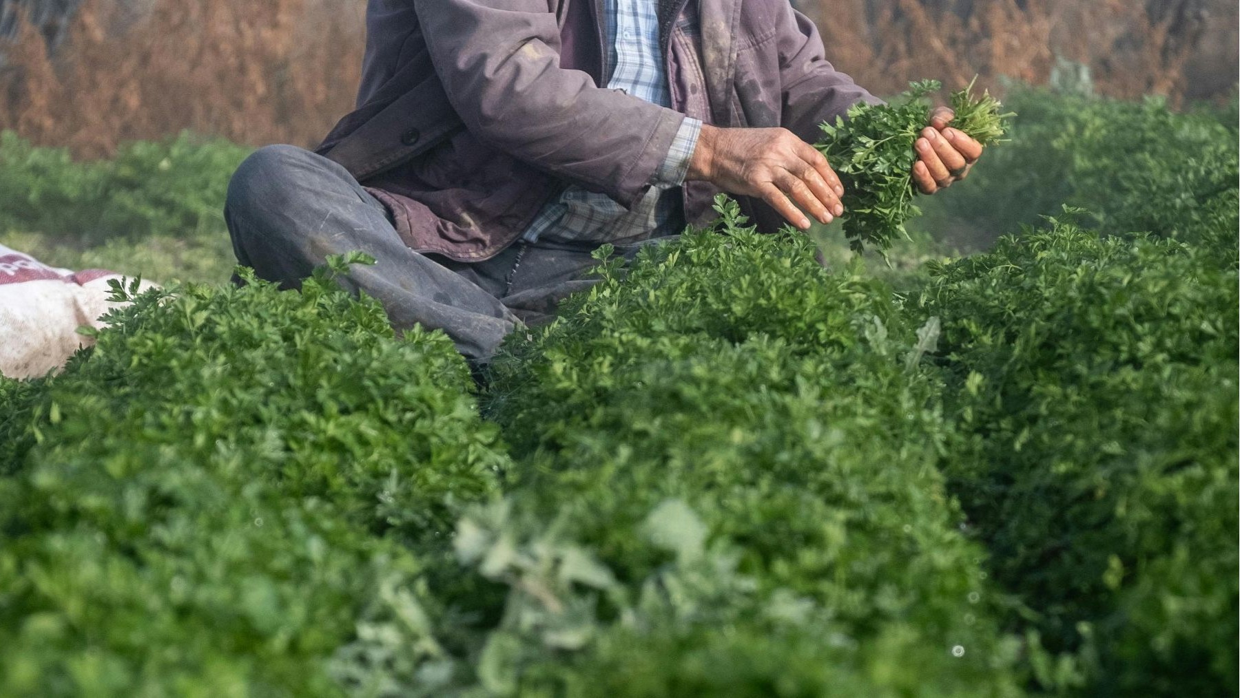 La agroecología demuestra mayor resistencia ante las crisis globales