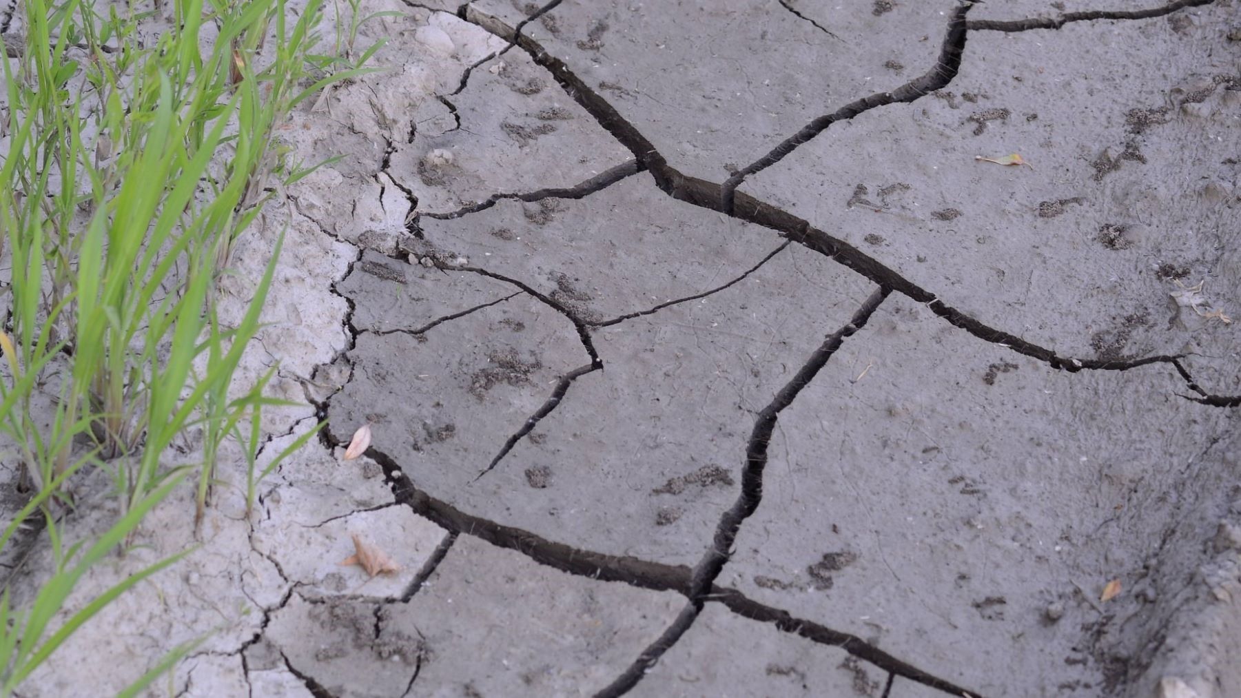 Financiación climática se ralentizó en 2024