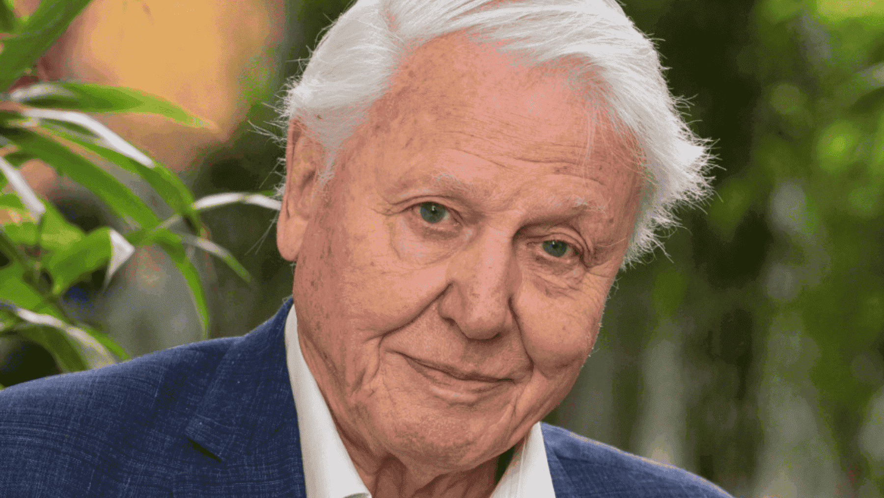 100 años: el legado de David Attenborough
