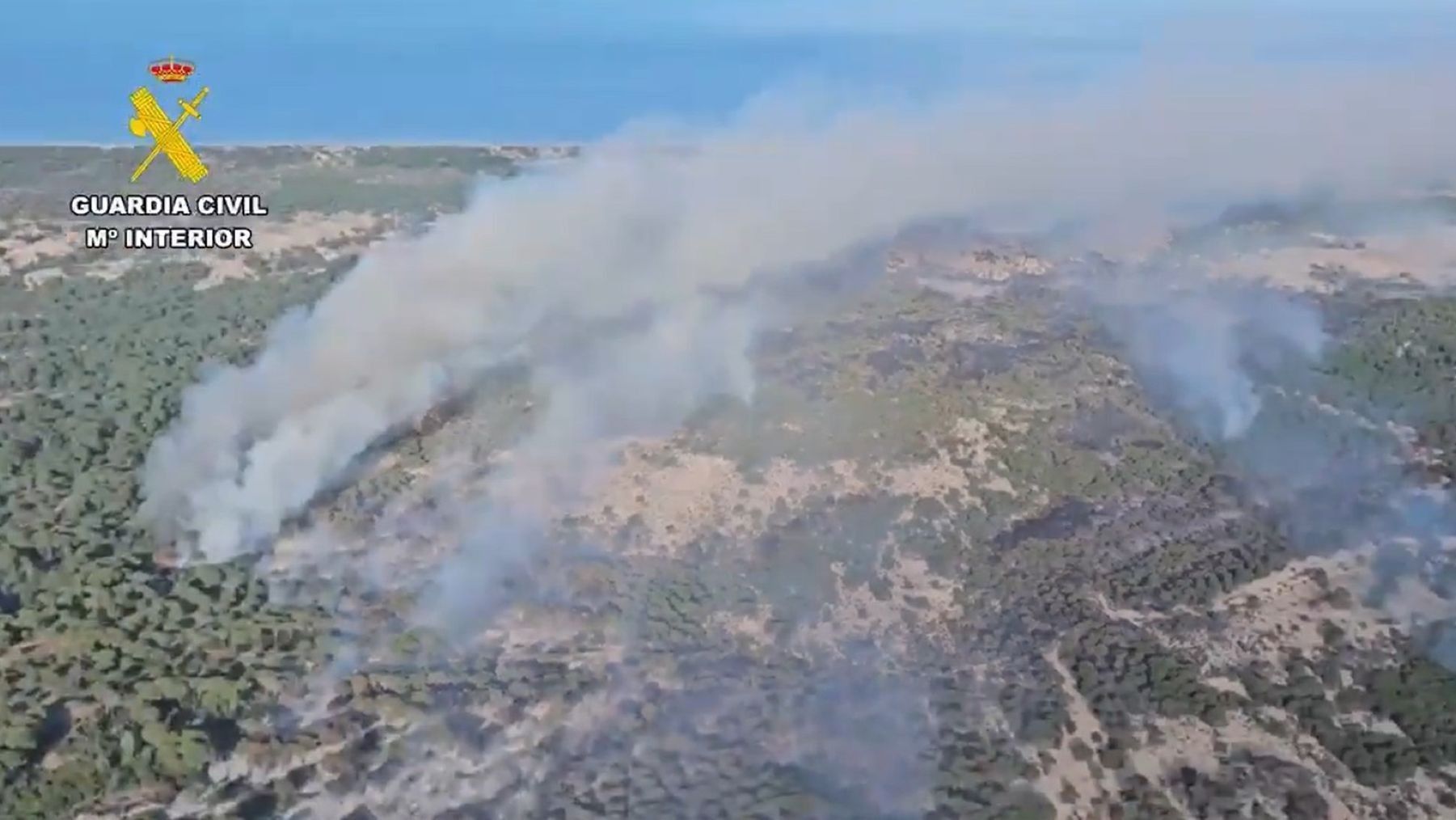 Incendio forestal en Doñana: WWF exige ampliar el periodo de riesgo alto por el impacto del cambio climático