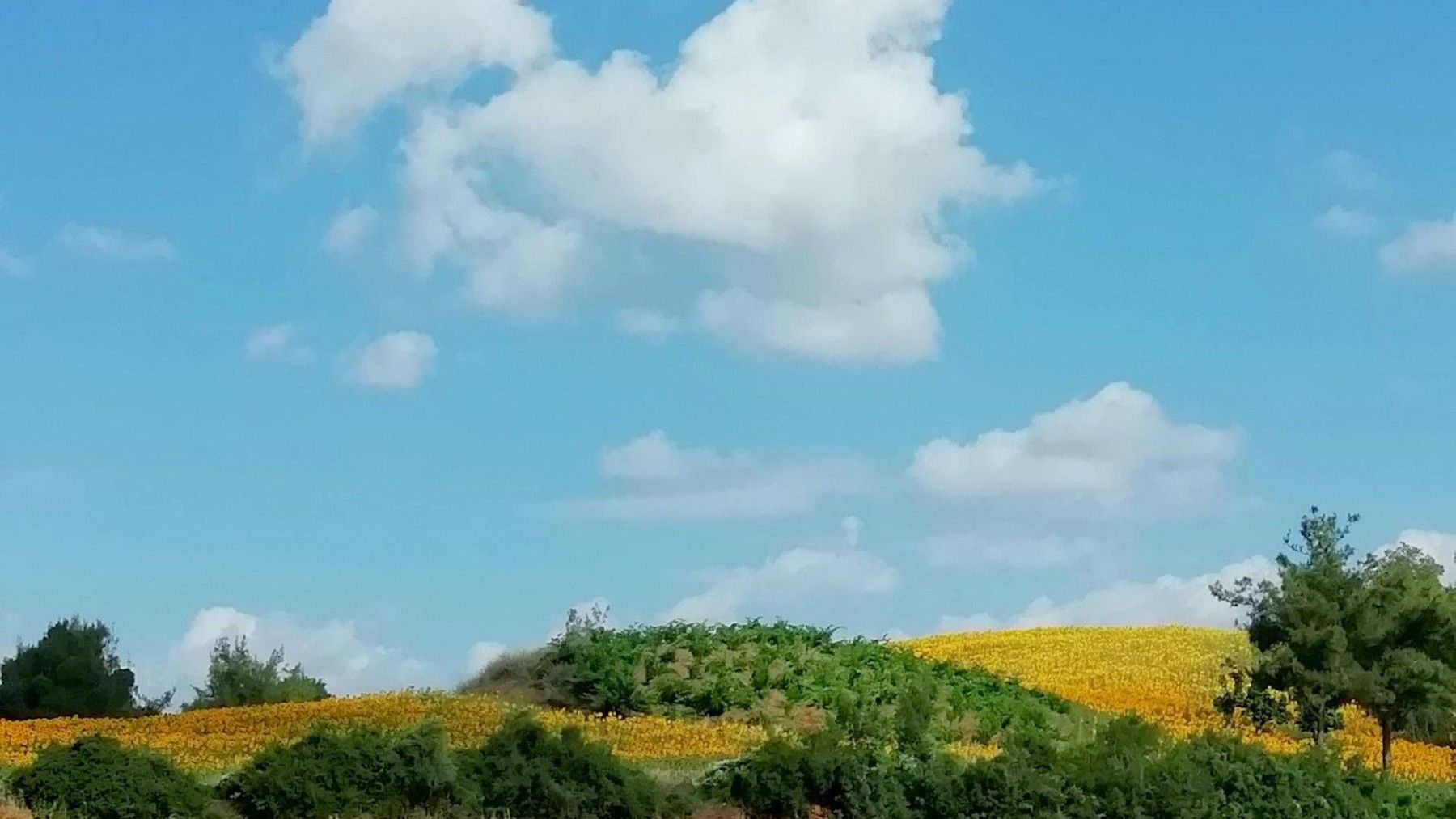El tiempo hoy 28 de mayo en España con calor extremo en ciudades del sur y valle del Ebro