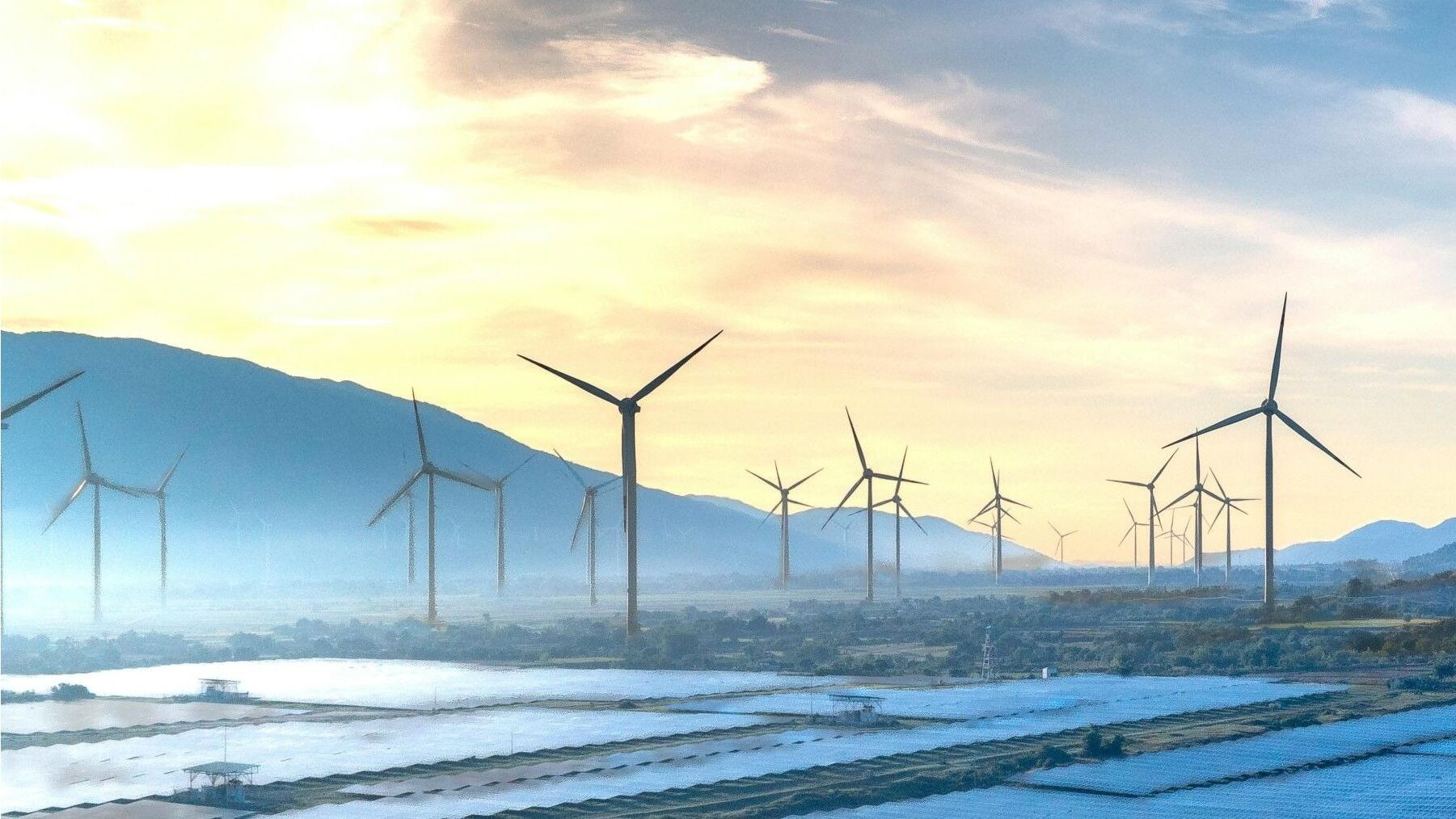 Alianza entre Honduras y la Unión Europea para impulsar las energías renovables paneles solares
