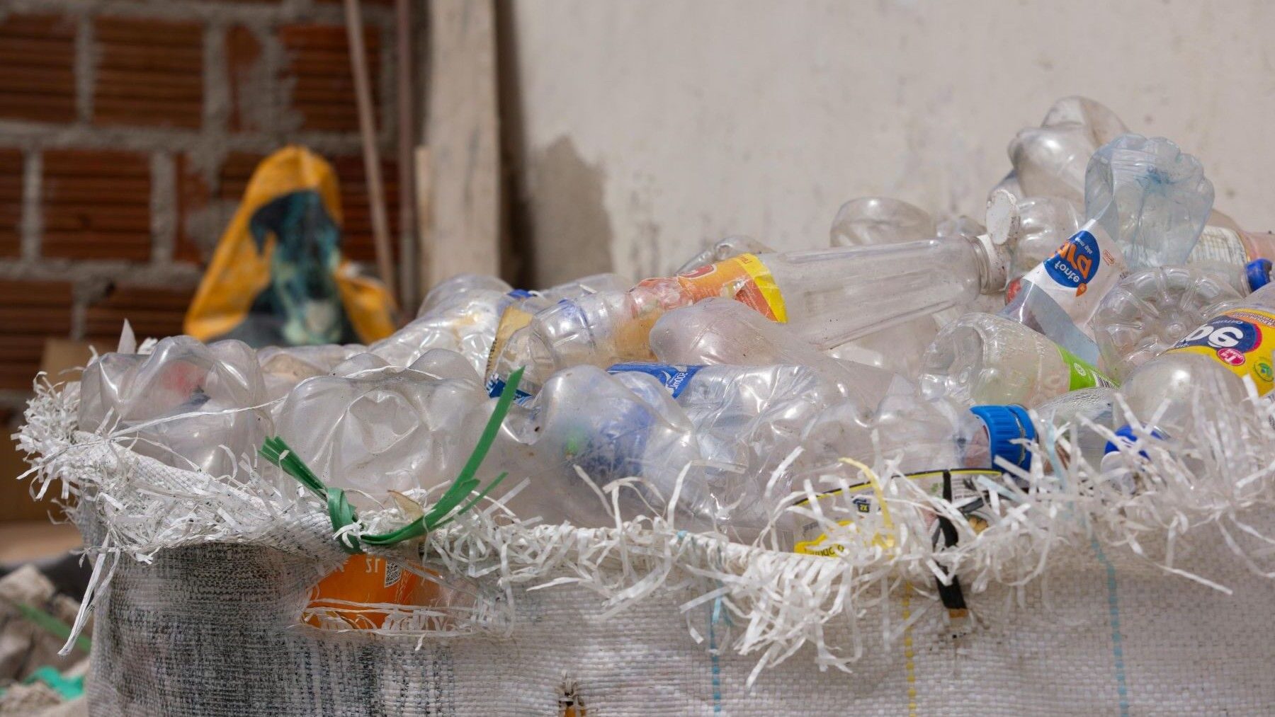 plásticos reciclados en alimentos y riesgos químicos en envases sostenibles