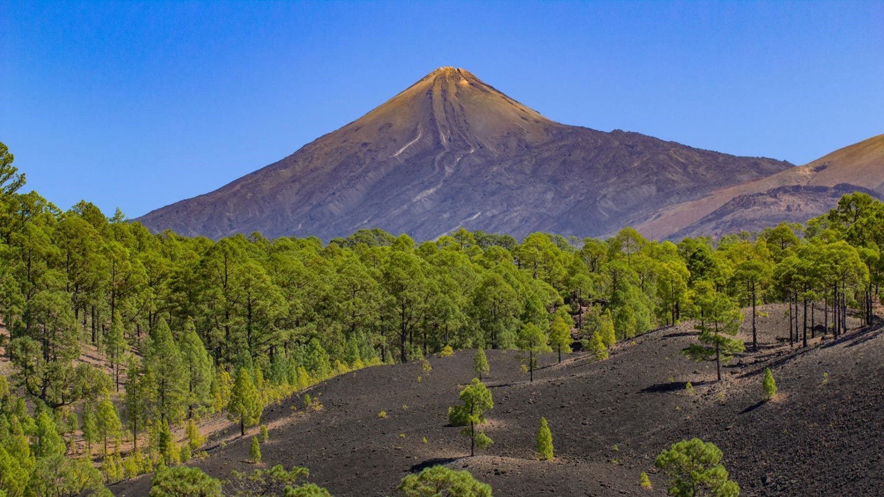 Día Europeo de la Red Natura 2000 en 2026 y biodiversidad europea