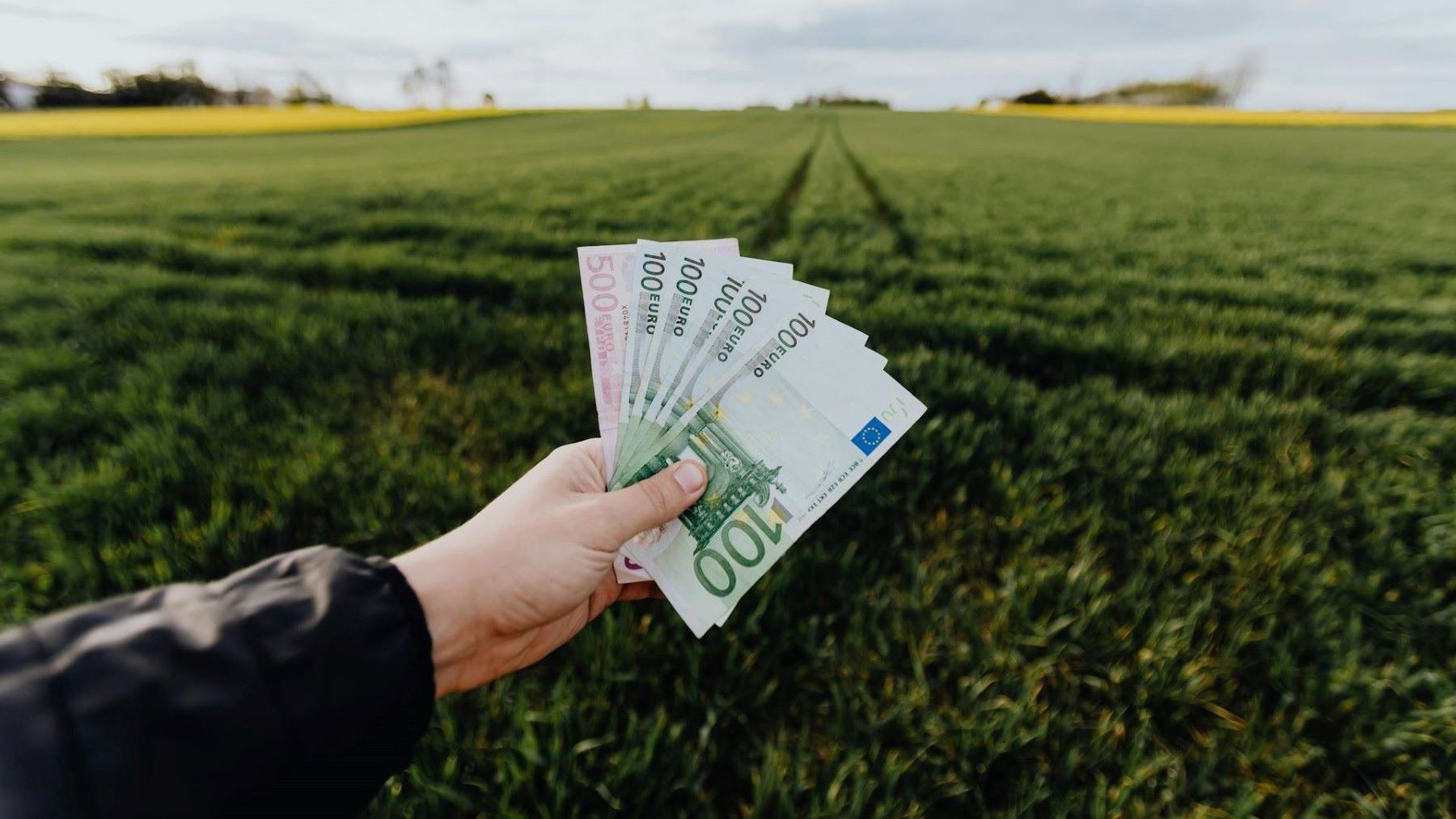 las subastas del Banco Europeo del Hidrógeno en España y los proyectos de electrólisis renovable