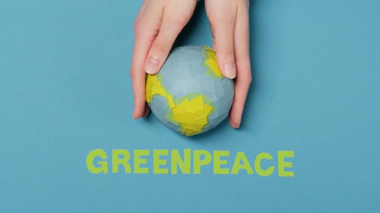 Elecciones andaluzas 2026: vota 'verde' para afrontar la crisis climática