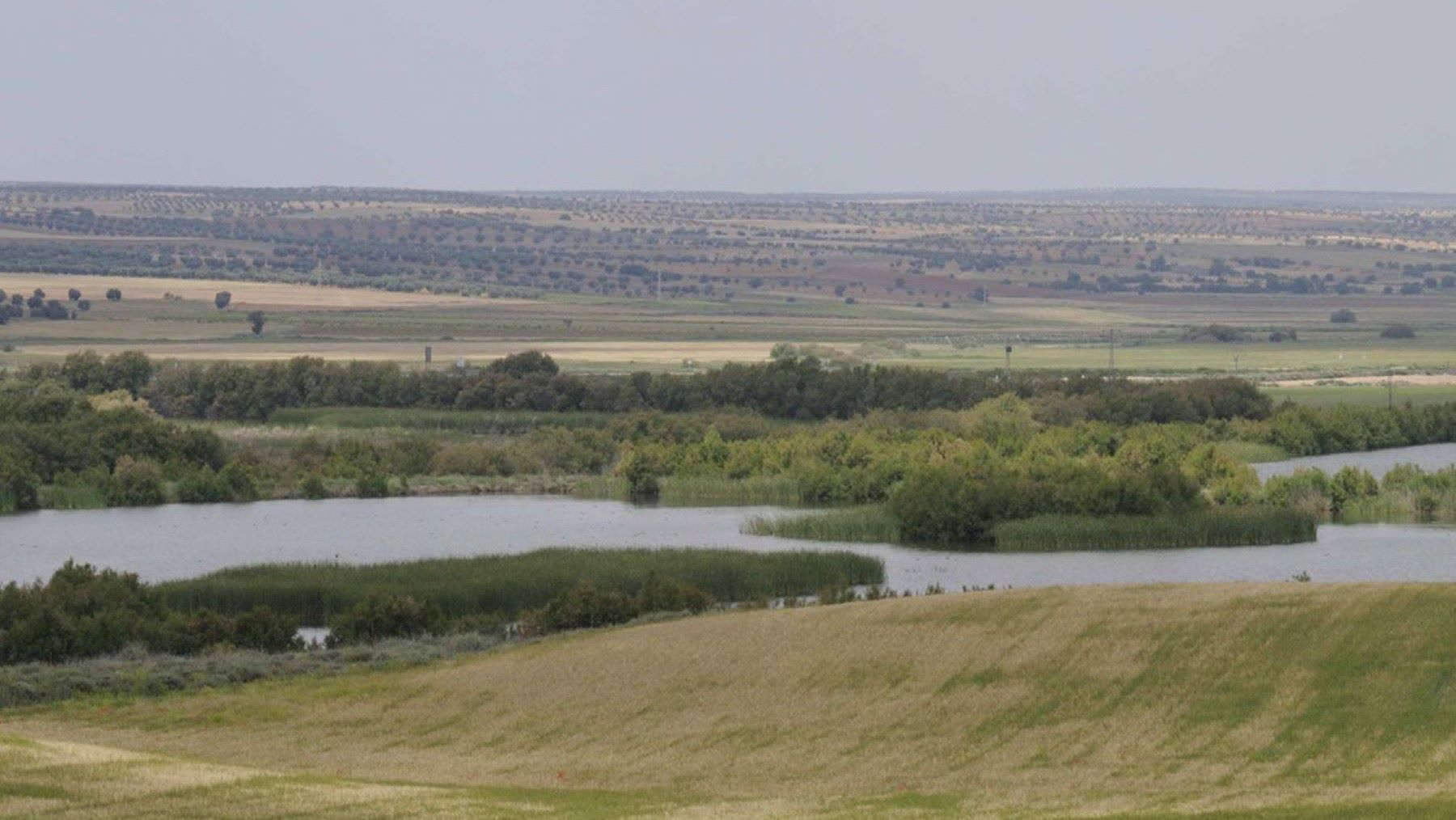 Plantas de biometano en Las Tablas de Daimiel