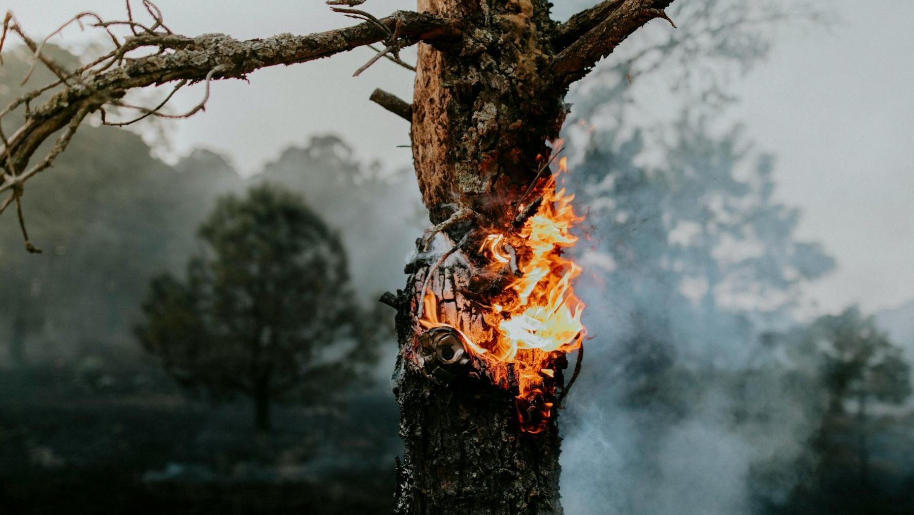 España estrena un sistema revolucionario para detectar incendios forestales con menos errores