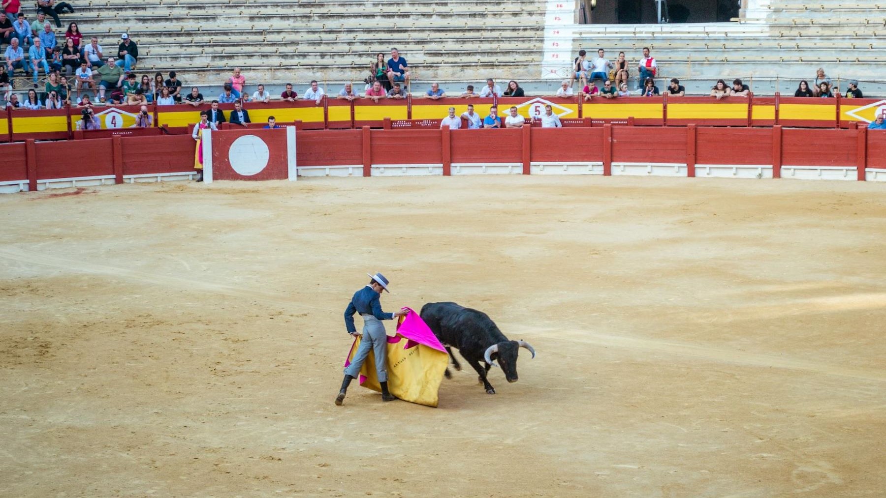 Fundación Franz Weber (FFW) presentará un informe sobre la tauromaquia