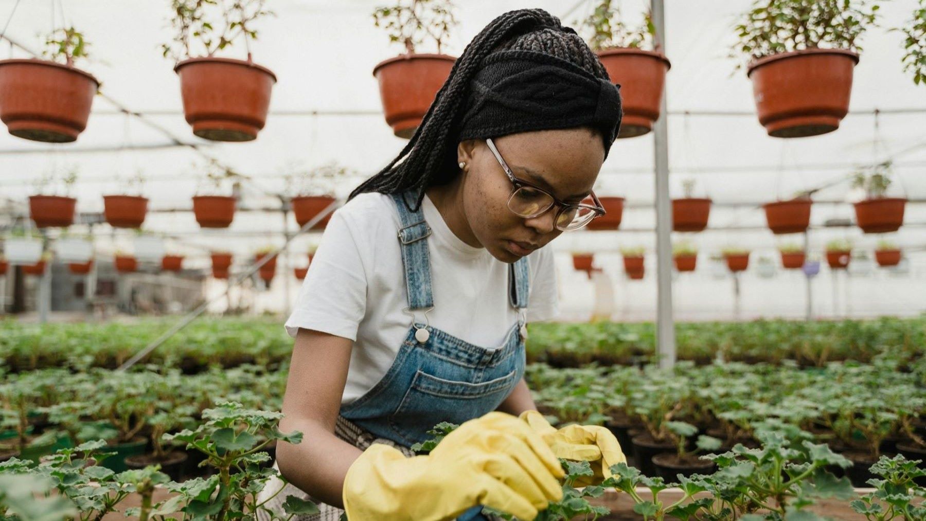 Hoy 17 de mayo se celebra el Día del Horticultor 2026