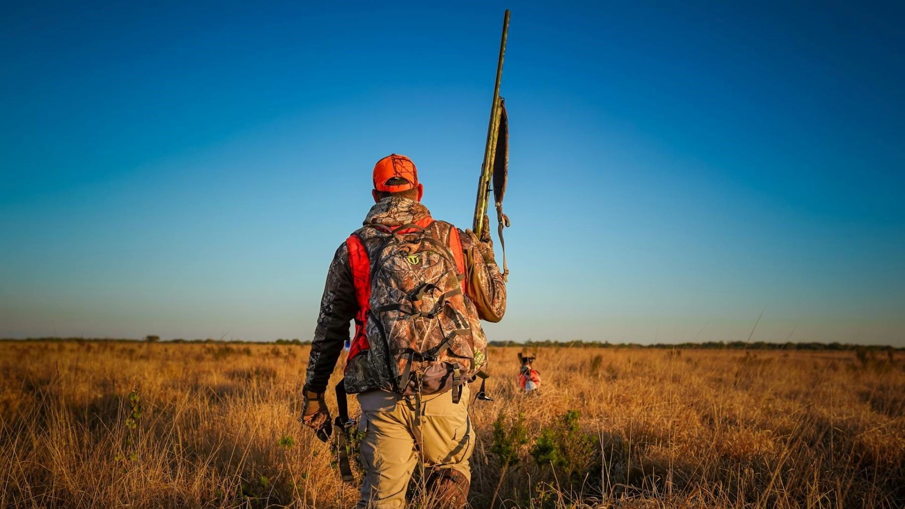 Reducción de permisos de caza de rebeco y venado en la Reserva del Saja: el Gobierno defiende restricciones por sostenibilidad y equilibrio ambiental