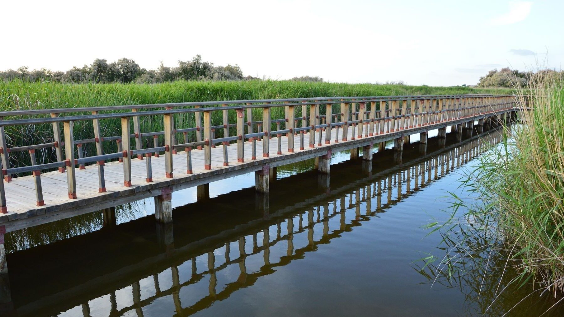 Las Tablas de Daimiel en estado óptimo pero el acuífero del Alto Guadiana no acaba de recuperarse
